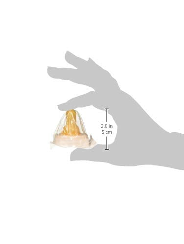 [Australia] - Abbott Nutrition Similac Component Nipple System Infant Nipple and Ring R, L00079 1 Count (Pack of 1) 