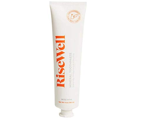 RiseWell Japanese Style Toothpaste, Natural