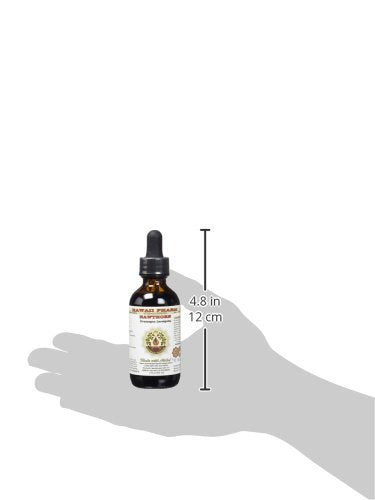 [Australia] - Hawthorn Alcohol-Free Liquid Extract, Organic Hawthorn (Crataegus Laevigata) Dried Berry Glycerite 2 oz 2 Fl Oz (Pack of 1) 