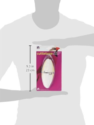 PH Prevue Hendryx Cuttlebone Large 10-12 Inch Single for Birds, White - PawsPlanet Australia