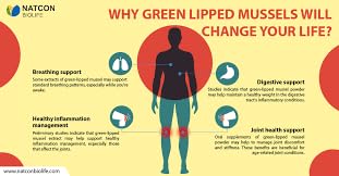 AMINOLAB - Green LIPPED Mussel 2500mg 365 Tablets - Supports Joint Health & Mobility, Promotes Cartilage Repair, Reduces Muscle Soreness & Inflammation - Rich in NUTRIENTS.