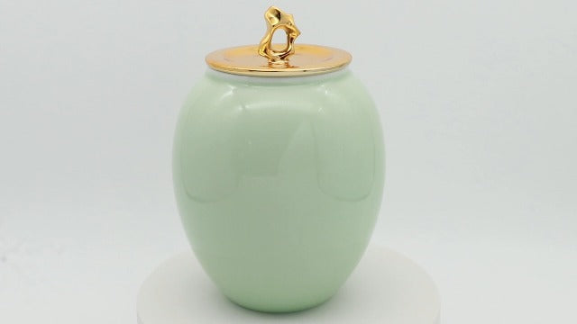 Medium Cremation Urns for Human Ashes Adult Male or Female Medium Green Angel Wing