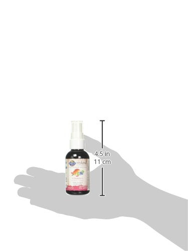 Garden of Life Organics Vitamin C Spray for Kids and Adults - Cherry Tangerine,Vitamin C Supplement,Antioxidant for Immune Support and Skin Health,2 fl oz Liquid Drops,(Pack of 2) Cherry-Tangerine 2 Fl Oz (Pack of 2)