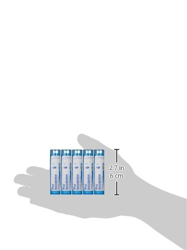 Boiron Rhus Toxicodendron 6C, 5-Pack of 80 Pellet Tubes, Homeopathic Medicine for Joint Pain,