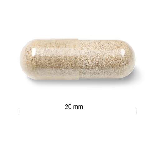 Jamieson Iron 28 mg, with Folic Acid, Vitamin B2, Vitamin B12, and Vitamin C, to Reduce Tiredness and Fatigue, with Enhanced Absorption, and Gentle on the Stomach. 90 Vegetarian Capsules