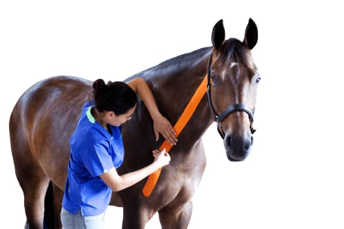 [Australia] - VetkinTape® Veterinary Kinesiology Tape Black | kinesiology Tape for Horses & Dogs | Equine & Canine Kinesiotape | Latex Free and TÜV Quality Mark Certified Ktape | 2.4 inch | Pack of 1 Roll 