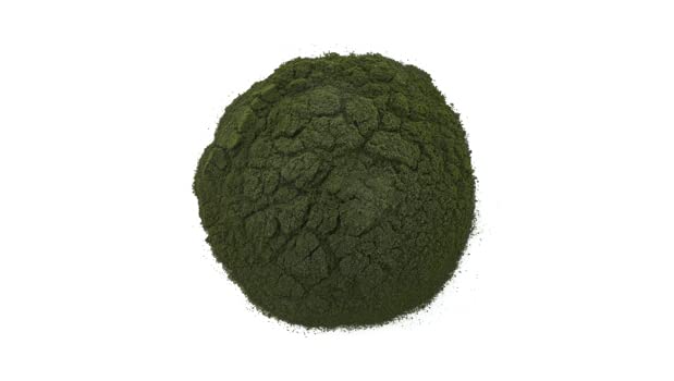 [Australia] - Yupik Chlorella Powder 8.8 oz, Superfood, Kosher, Gluten-Free, Rich in Chlorophyll, Antioxidants, Protein, Iron, Heavy Metal Detoxifier 8.8 Ounce (Pack of 1) 