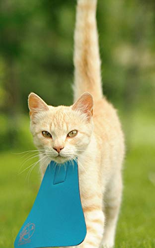 Bird Saving (Large, Turquoise) Large - PawsPlanet Australia