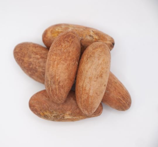 [Australia] - Garcinia Kola Powder/Bitter Kola Powder / 2 OZ 