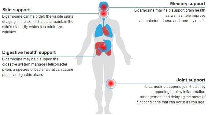 L-Carnosine Supplement 1000mg (120 Tablets), Cellular Health & Longevity, Healthy Aging, Antioxidant & Free Radical Defense, Healthy Muscle Function, Cognitive Health & Brain Function