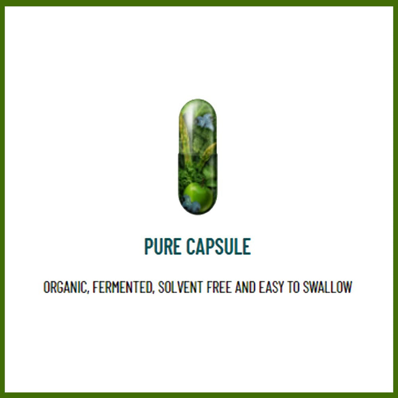 Organic Your Flora Gold Spice (60 Caps) - Contains Organic Turmeric and Ginger - High in Antioxidants and Polyphenols