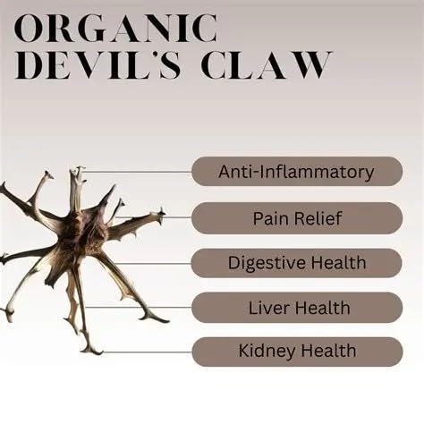Devils Claw 8000mg 120 caps Anti INFLAMMATORY Pain Relief, Joint Health & Flexibility, Mobility & Comfort, Bones & Joints, Joint & Muscle Support