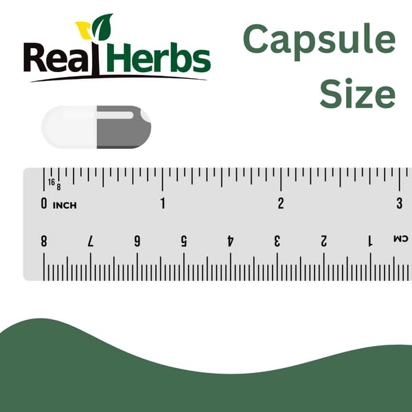 [Australia] - Real Herbs Stinging Nettle Root Extract 7500mg (750mg of 10:1 Extract) ‚Äì Vegetarian Friendly, Non-GMO, Gluten-Free ‚Äì Supports Prostate & Urinary Health ‚Äì 100 Capsules 