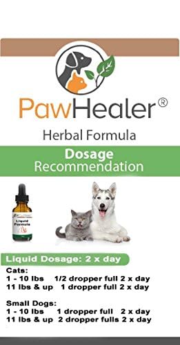Trachea Cough Elixir - 59 ml (2 fl oz) - Natural Herbal Remedy for Symptoms of Collapsed Trachea - Tastes Good - Easy to Administer - based in vegetable glycerin - Dropper Included - for Picky Eaters! - PawsPlanet Australia