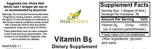 Liquid Vitamin B5 Drops, Pantothenic Acid Supplement, Alcohol Free, Vegan, Non-GMO Liquid Formula, 1 Fl Oz | Made with Only 3 Premium Ingredients, Vegan and Non-GMO, in an Easy-to-Take Liquid Formula Bottled in Protective Cobalt Glass 1 Fl Oz (Pack of 1)