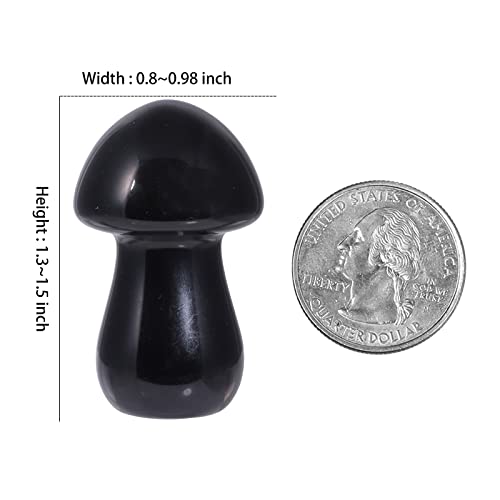KYEYGWO 1.4" Black Obsidian Crystal Mushroom Figurine Ornament for Home