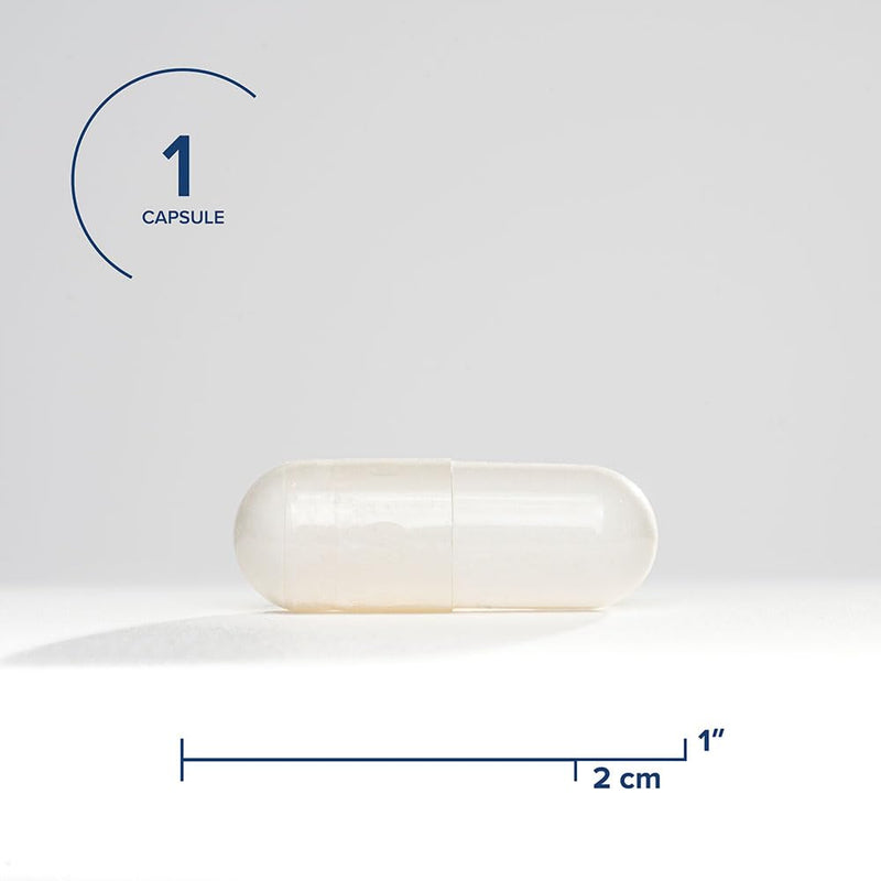 [Australia] - NAC | 500 mg N-Acetyl-L-Cysteine | Powerful Detoxifying Action| 90 Easy-To-Swallow Capsules | Free of Common Allergens | Seeking Health 