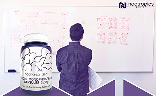 [Australia] - Nootropics Depot Uridine Monophosphate Capsules | Disodium Salt (60 Count) Cognitive Enhancer* | Nootropic | Choline Precursor 60 Count (Pack of 1) 