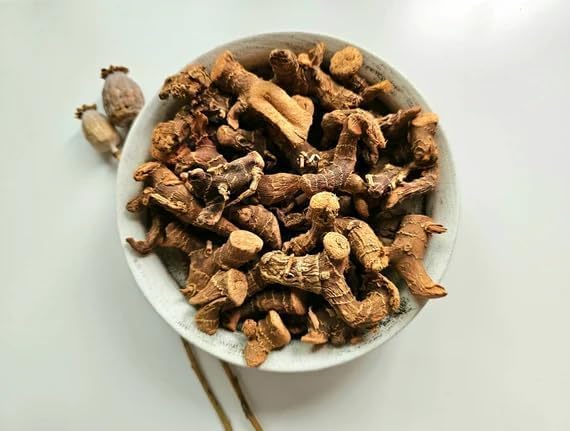 [Australia] - Low John Root | Southern/Dixie John Root | 2 Ounces 