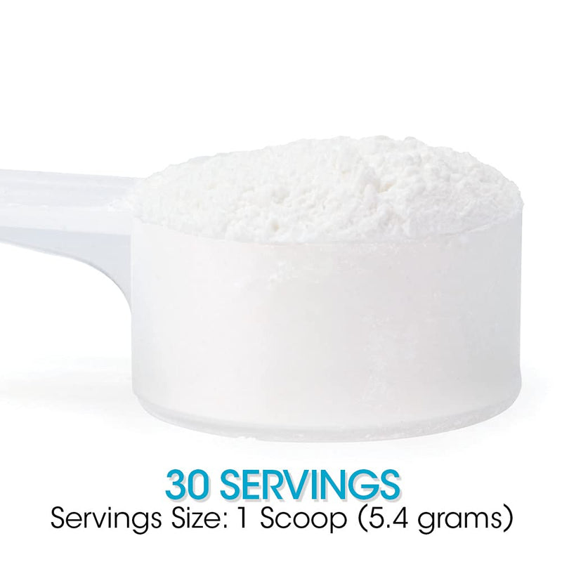 [Australia] - Silver Fern Gut Repair - Digestive Health Supplement Powder - L-Glutamine, Curcumin, Zinc & Ascorbic Acid (1 Tub - 30 Servings) 5.7 Ounce (Pack of 1) 