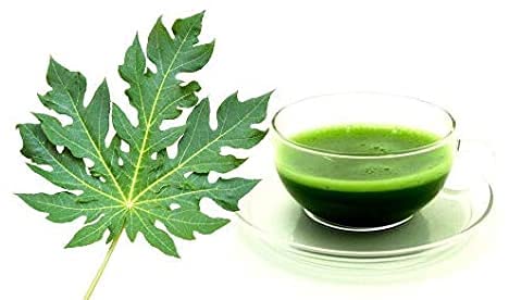 Herbal Magic Natural Papaya Leaf (Carica Papaya) 60 x 500 mg Veg Capsules - Rich, Revered & Prized herb in Ayurveda - Whole Leaf Used - No Fillers & Preservatives (Pack of 1)