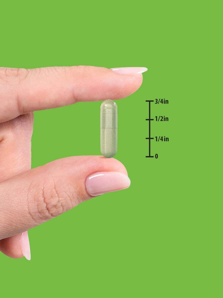 [Australia] - Echinacea Extract Capsules | 1300mg | 100 Count | Non-GMO & Gluten Free | by Nature's Truth 