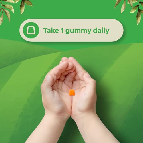 Bundle of Kids DHA Omega 3 Gummies with Vegetarian 6 9 for Vision Brain & Immunity and Chewable Vitamin D Gummies for Kids - 1000 IU Per Serving Vitamins - Immune Support Muscle Teeth & Bone Health