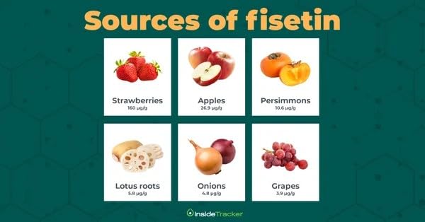 VITA PHARMA Fisetin 500mg 120 Capsules, Cellular Health & Longevity, Antioxidant Protection, Healthy Aging & Vitality, Overall Wellness & Balance
