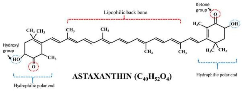 AMINOLAB - ASTAXANTHIN 15mg 30 Capsules - Provides Powerful Antioxidant Support for Skin, Eyes, Heart, and Muscle Recovery - Anti-INFLAMMATORY.