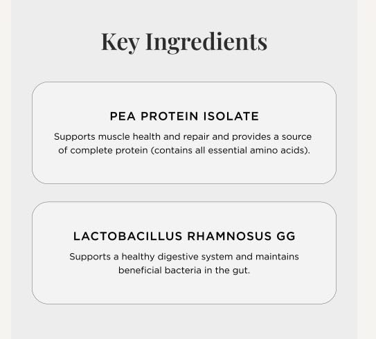 JSHealth Vegan Pea Protein Powder with Probiotics - Vanilla Bean Flavor - Gluten Free, Non GMO, Plant Based Protein Drink Mix, 300g 300 g (Pack of 1)