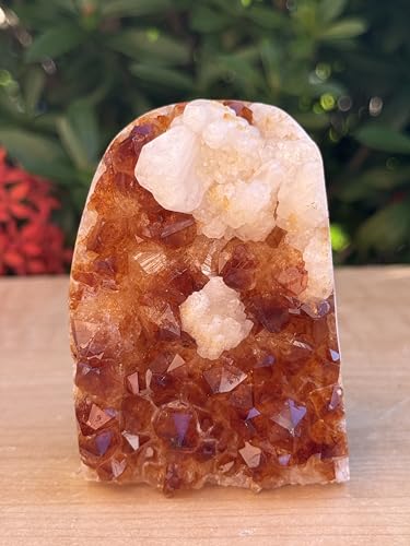 GAF TREASURES Finely Polished Citrine Clusters with Cut Base | Honey Citrine Quartz Cluster (1-2 lb) 1-2 lb