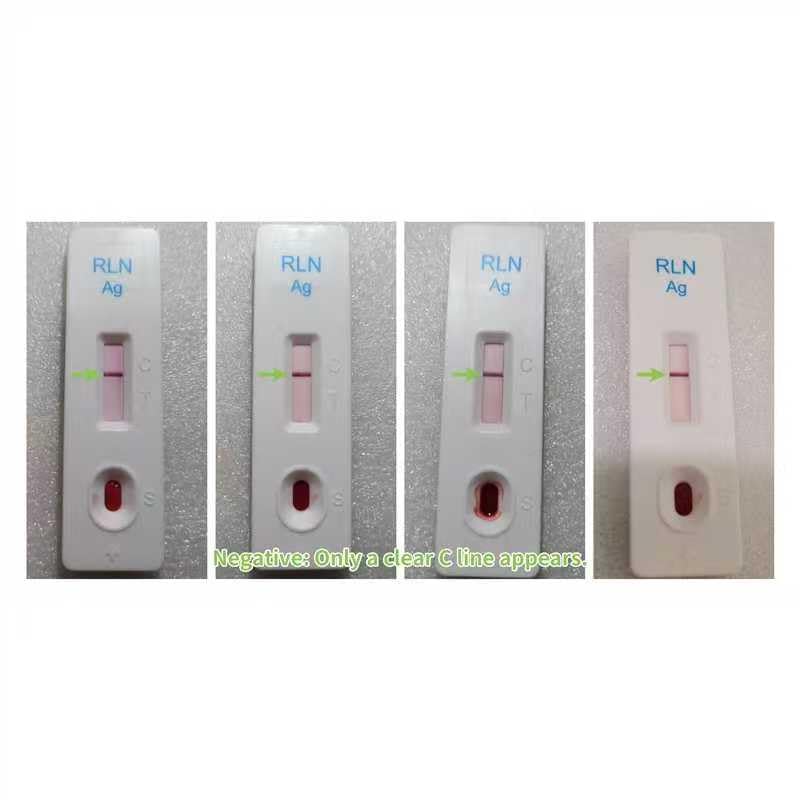 Dog Pregnancy Test Kit, Needle-Free Painless At Home Detection, 98% High Accuracy, Fast & Safe Canine Pregnancy Test for Dogs