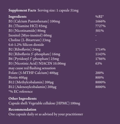Bioactive B-Complex | Full Spectrum Active & Inactive B Vitamins | 13 Vitamin B Complex | Energy & Nervous System Support | 90 Vegetarian Capsules