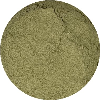 Nature's Root Olive Leaf Powder | Premium Fresh-Ground Olea Europaea | Natural Polyphenols & Antioxidant Source | Pure & Additive-Free | Vegan Superfood for Smoothies & Wellness Support (500g)