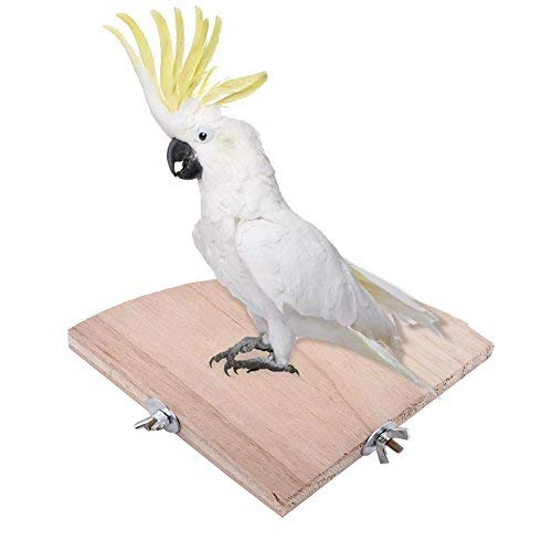 Fdit Bird Wooden Stand Fan Shaped Design for Parrot Cockatiel Parakeet - PawsPlanet Australia