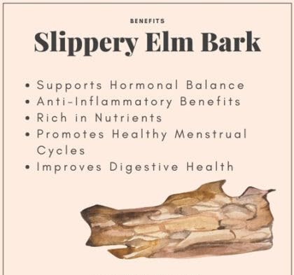 Slippery Elm 5000mg 240 Capsules, Digestive & Gut Health Support, Soothes Throat & Stomach, Natural Herbal Supplement