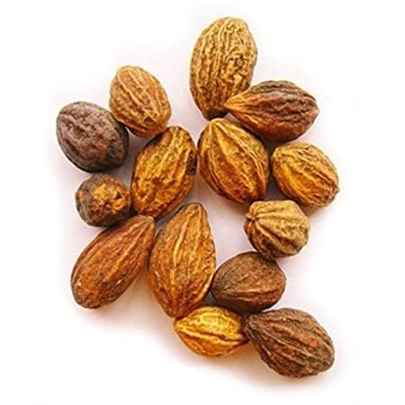 [Australia] - Haritaki/Inknut Whole for Dark Circles | 10 Ounce (283 Grams) | 100% Naturally Dried herb | Terminalia chebula 