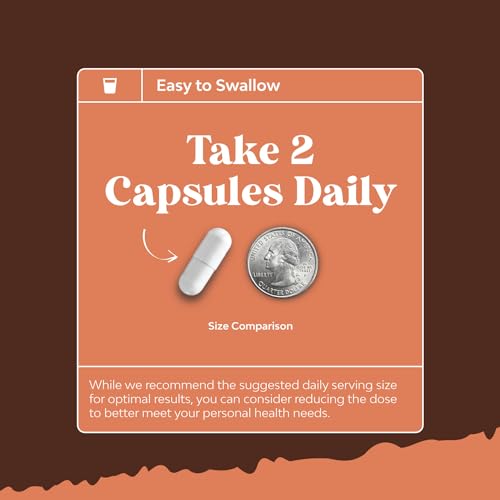 Bundle of Nootropic Brain Supplement - Mental Health & Clarity with VIT A B6 Riboflavin Niacin Thiamin Folate and Advanced Mushroom Complex Capsules - 10X Lions Mane with Reishi Chaga Maitake Shiitake