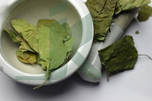 [Australia] - bixa BOTANICAL Gymnema Leaf Powder (Gudmar, Shardunika) 7 Oz/ 200 GRM | Digestive Stimulant | Natural Herbal Supplement 7 Ounce (Pack of 1) 