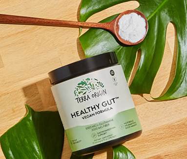 [Australia] - TERRA ORIGIN Healthy Gut Powder Vegan Formula | with L Glutamine, DGL Licorice Root Powder, MSM | Bloating and Leaky Gut | Gut Health for Women and Men | 30-Servings 8.7 Ounce (Pack of 1) 
