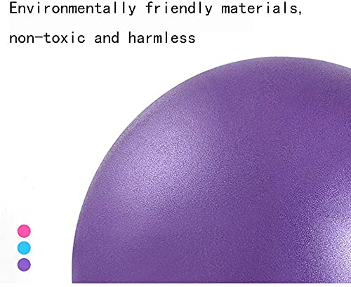 [Australia] - Small Pilates Ball 6 Inch Exercise Ball for Yoga Classroom Core Ball Barre Ball for Physical Therapy Balance Stretching with Pump Pink 