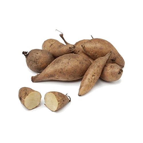 [Australia] - Yacon syrup 250g organic AcanChia raw food quality 