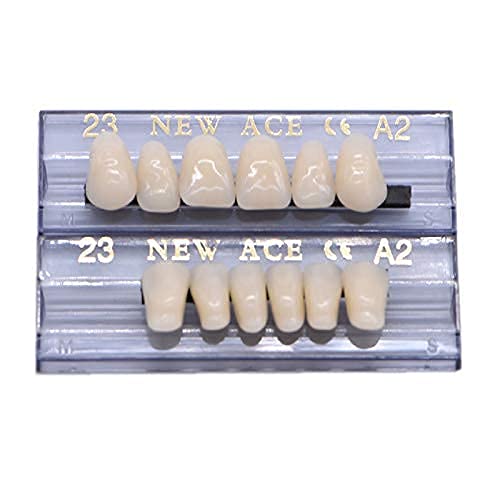 [Australia] - RZJZGZ 168 Pcs Dental Synthetic Resin Tooth Denture Temporary False Teeth 6 Sets False Teeth 23 A2 