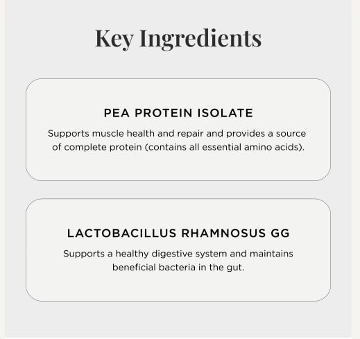 JSHealth Vegan Pea Protein Powder with Probiotics - Chocolate Brownie Flavor - Gluten Free, Non GMO, Plant Based Protein Drink Mix, 300g 300 g (Pack of 1)