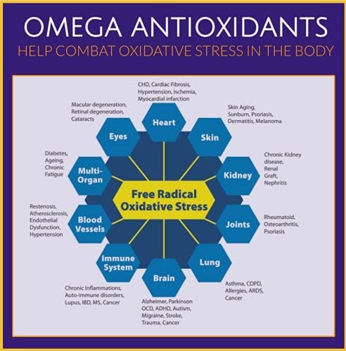Cod Liver Oil Supplement (1000mg) - 90 Soft Gel Capsules | Daily Omega 3 Supplement with DHA EPA | Arthritis Brain Anxiety Immunity Bones Joints| Omega-Shield-CLO