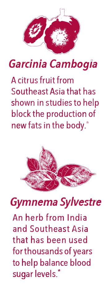 [Australia] - Javita ActiveBlendz Control Pomegranate Powder Drink - Instant Fruit Beverage Made from Grape & Pomegranate with Garcinia Cambogia & Gymnema Sylvestre for Appetite and Weight Management, 24 Pcs 1.24 Ounce (Pack of 1) 