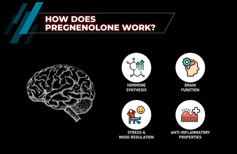 Pregnenolone (100mg) 120 Capsules, Cognitive Function & Memory, Mood & Emotional Balance, Healthy Stress Response, Hormonal Balance & Vitality, Energy & Endurance