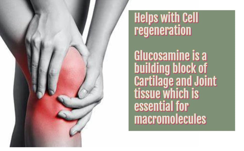 Glucosamine & Chondroitin High Strength Complex - with MSM & Vitamin C - 180 Anti inflammatory Tablets - Joint & Bone Care Support - Pain Relief Tablets (180)