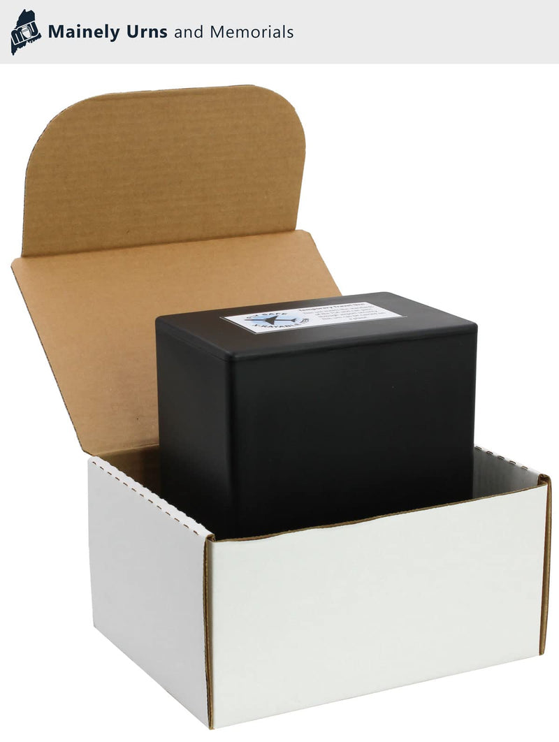 [Australia] - CarrySafe Urn - TSA Approved Fly-Safe and Temporary Travel Cremation Urn Kit for Human Ashes - Airline Friendly - 200 Cubic Inch Capacity - Airline-Ready Black Plastic Urn with Included Travel Box 