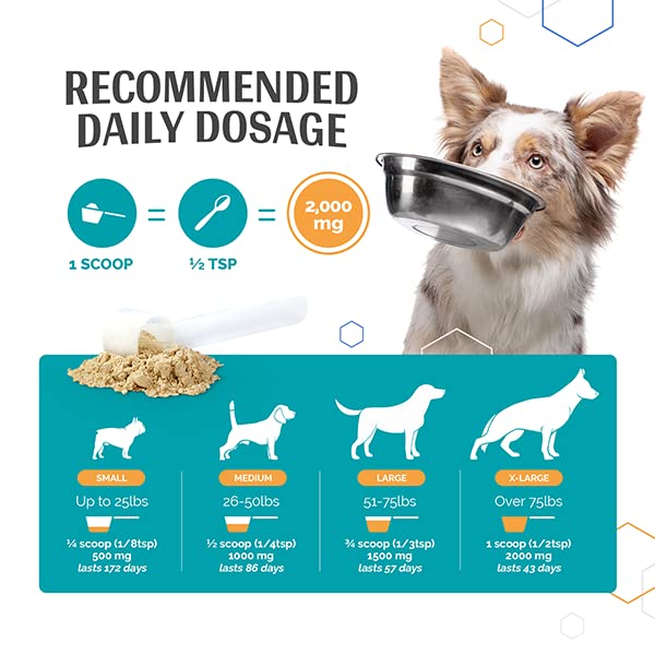 Flexerna Essentials Green Lipped Mussel Powder & MSM for Dogs - Natural Dog Joint & Mobility Support - Natural Glucosamine Chondroitin + Omega-3 Fatty Acids - Anti-Inflammatory - 3 Oz - PawsPlanet Australia